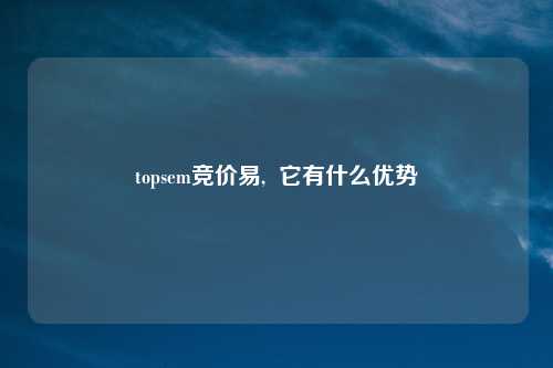 topsem竞价易,  它有什么优势