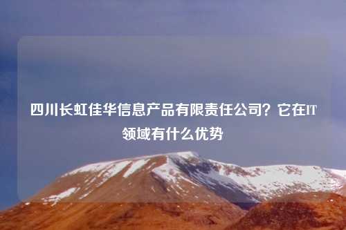 四川长虹佳华信息产品有限责任公司?它在IT领域有什么优势