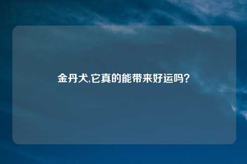 金丹犬,它真的能带来好运吗？