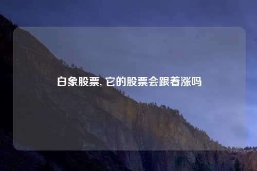 白象股票, 它的股票会跟着涨吗