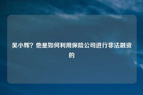 吴小辉？他是如何利用保险公司进行非法融资的