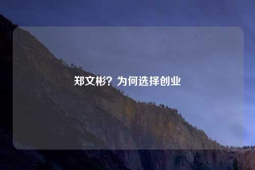 郑文彬？为何选择创业