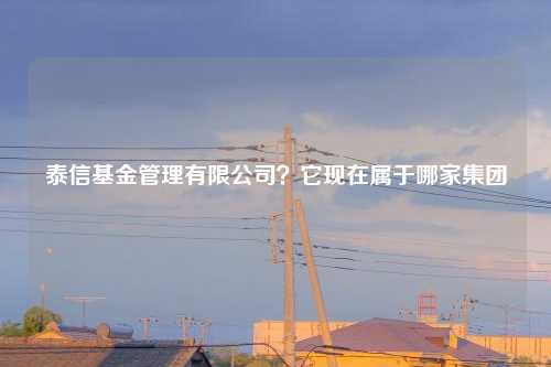 泰信基金管理有限公司？它现在属于哪家集团