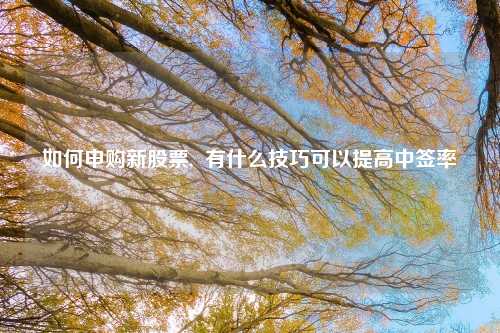 如何申购新股票,  有什么技巧可以提高中签率