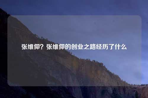 张维仰？张维仰的创业之路经历了什么