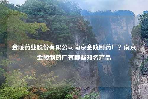 金陵药业股份有限公司南京金陵制药厂？南京金陵制药厂有哪些知名产品
