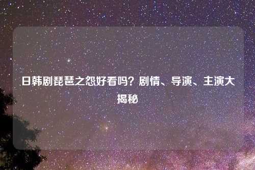 日韩剧琵琶之怨好看吗？剧情、导演、主演大揭秘