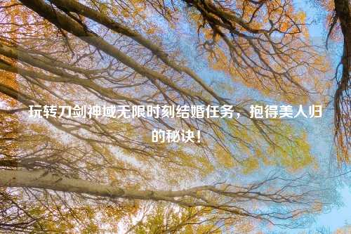 玩转刀剑神域无限时刻结婚任务，抱得美人归的秘诀！