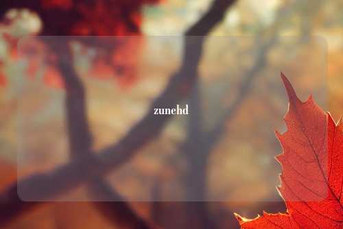zunehd