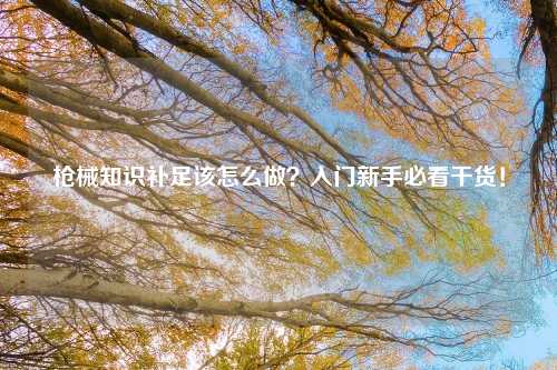 枪械知识补足该怎么做？入门新手必看干货！