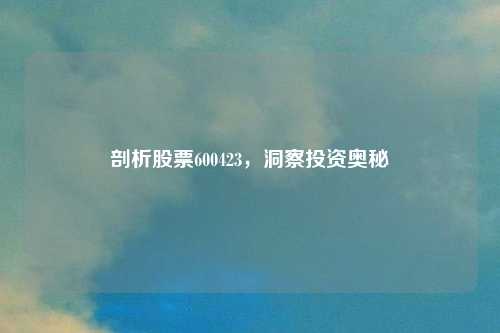 剖析股票600423，洞察投资奥秘
