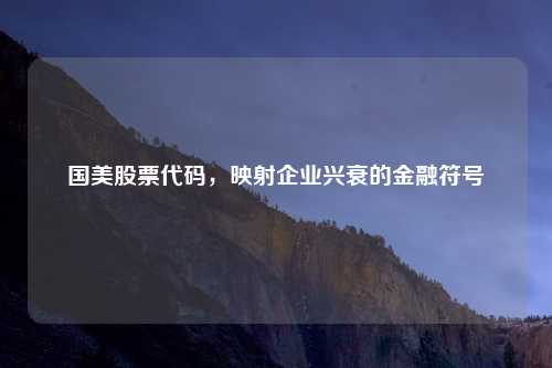 国美股票代码，映射企业兴衰的金融符号