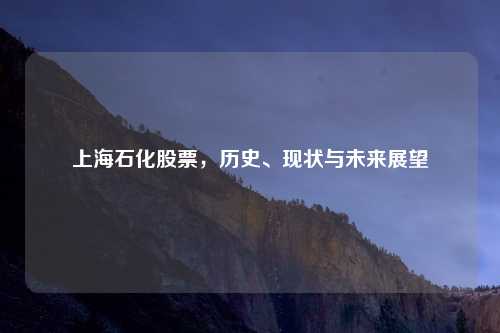 上海石化股票，历史、现状与未来展望