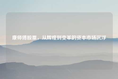 康师傅股票，从辉煌到变革的资本市场沉浮