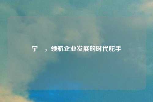 宁旻，领航企业发展的时代舵手