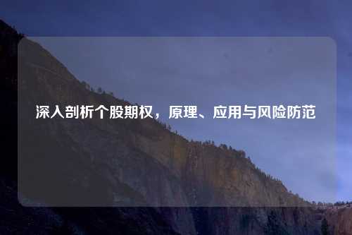 深入剖析个股期权，原理、应用与风险防范