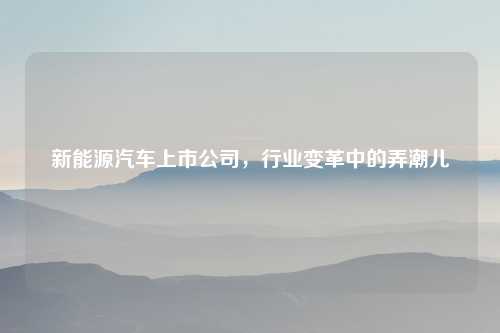 新能源汽车上市公司，行业变革中的弄潮儿