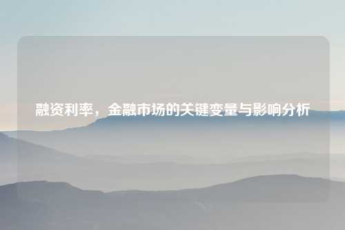 融资利率，金融市场的关键变量与影响分析