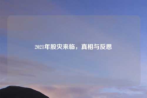 2021年股灾来临，真相与反思