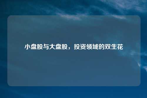 小盘股与大盘股，投资领域的双生花