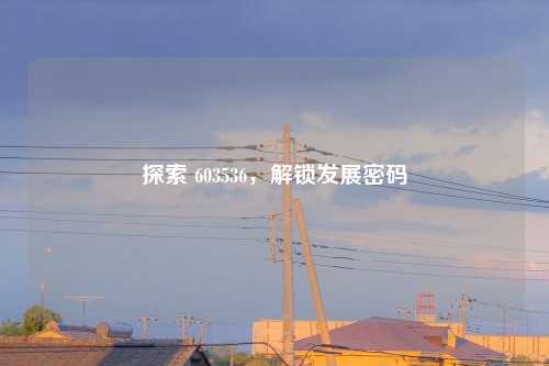 探索 603536，解锁发展密码