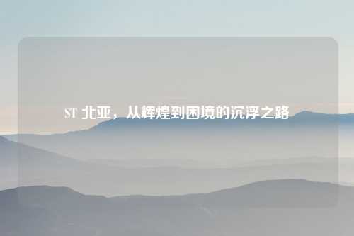 ST 北亚，从辉煌到困境的沉浮之路