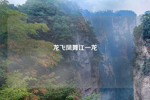 龙飞凤舞江一龙
