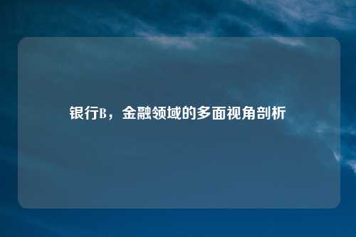 银行B，金融领域的多面视角剖析