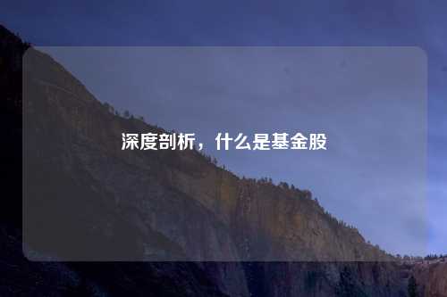 深度剖析，什么是基金股