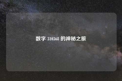 数字 310368 的神秘之旅
