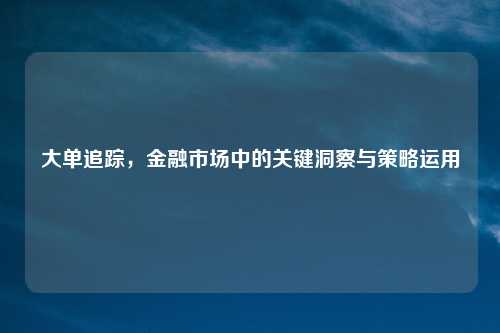 大单追踪，金融市场中的关键洞察与策略运用