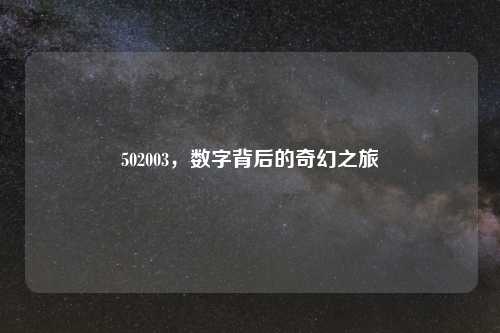 502003，数字背后的奇幻之旅