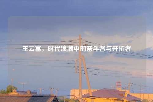 王云富,时代浪潮中的奋斗者与开拓者