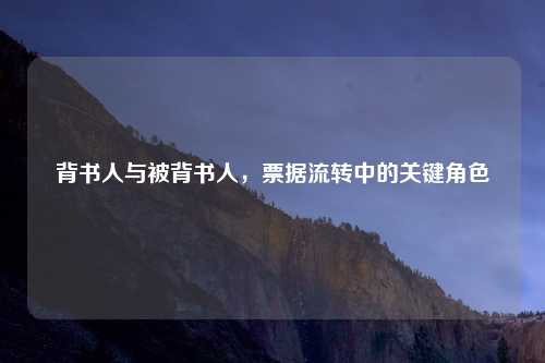 背书人与被背书人，票据流转中的关键角色