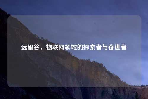 远望谷，物联网领域的探索者与奋进者