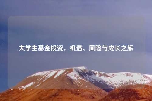 大学生基金投资，机遇、风险与成长之旅