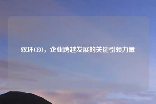 双环CEO，企业跨越发展的关键引领力量
