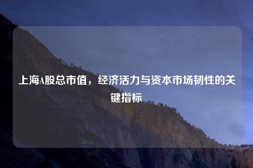 上海A股总市值，经济活力与资本市场韧性的关键指标