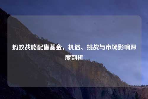 蚂蚁战略配售基金，机遇、挑战与市场影响深度剖析