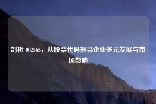 剖析 002565，从股票代码探寻企业多元发展与市场影响