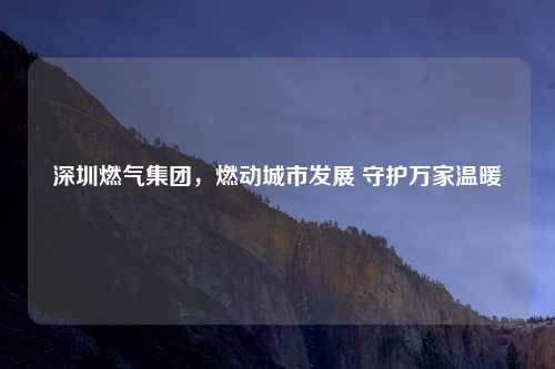 深圳燃气集团，燃动城市发展 守护万家温暖