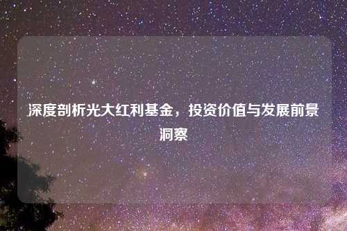 深度剖析光大红利基金，投资价值与发展前景洞察