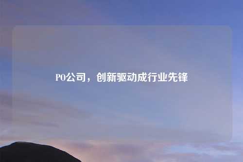 PO公司，创新驱动成行业先锋