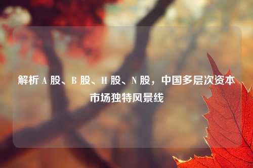 解析 A 股、B 股、H 股、N 股，中国多层次资本市场独特风景线
