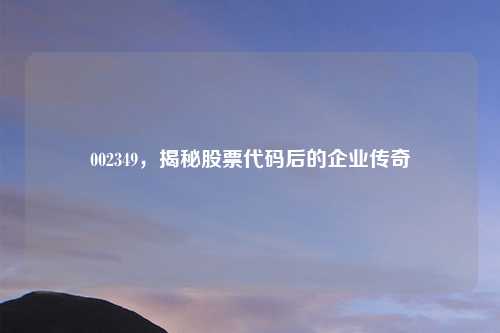 002349，揭秘股票代码后的企业传奇