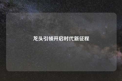 龙头引领开启时代新征程