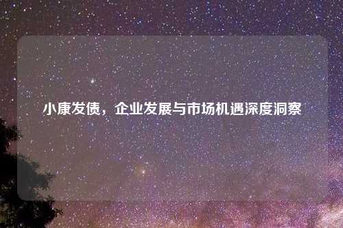 小康发债，企业发展与市场机遇深度洞察