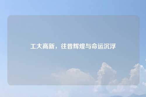 工大高新，往昔辉煌与命运沉浮