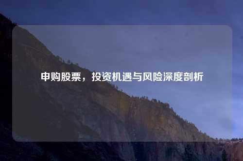 申购股票，投资机遇与风险深度剖析