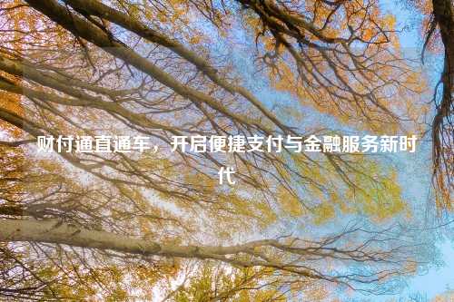 财付通直通车，开启便捷支付与金融服务新时代